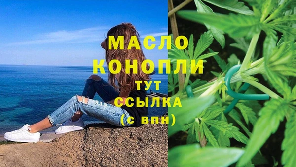 таблы Бородино