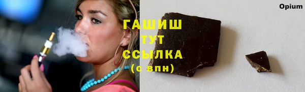 таблы Бородино