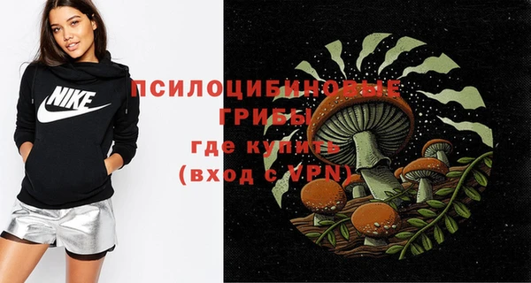 таблы Бородино