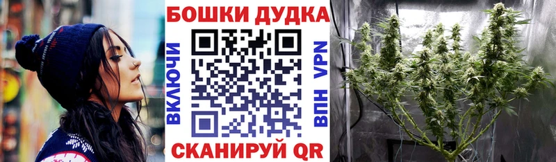 наркошоп  Бийск  Канабис планчик 